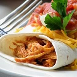 Salsa Chicken Burrito Filling