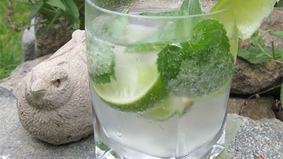 Mojito Perfecto