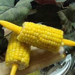 Microwave Corn on the Cob