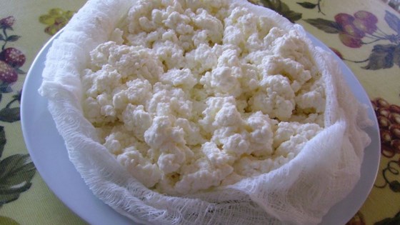 Homemade Fresh Cheese