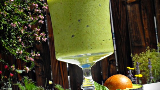 Avocado Smoothie