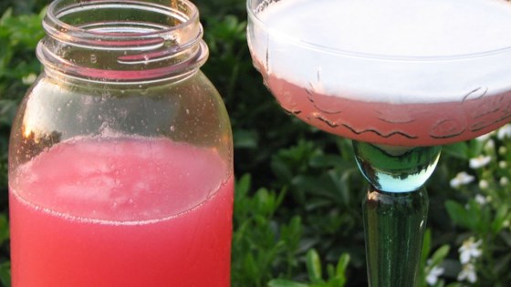 Rhubarb Margarita