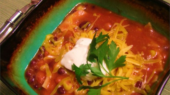 Vegetarian Tortilla Stew