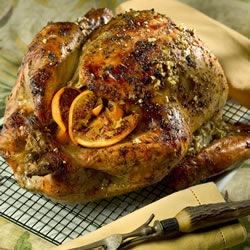 All Thanksgiving Turkey Recipes