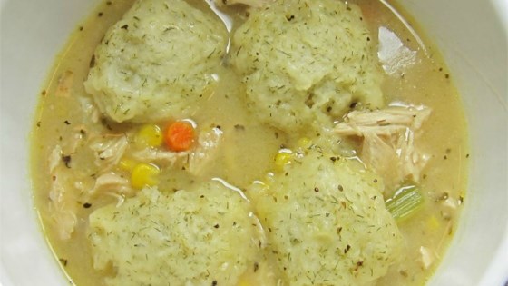 Chicken Stew with Dumplings