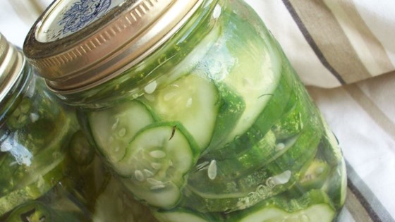 Homemade Refrigerator Pickles