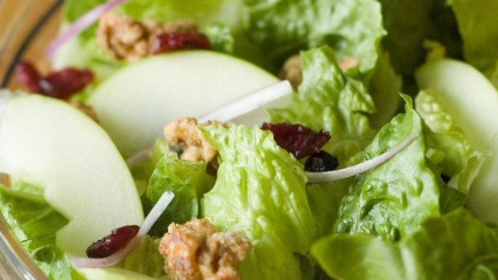 Apple Walnut Salad with Cranberry Vinaigrette