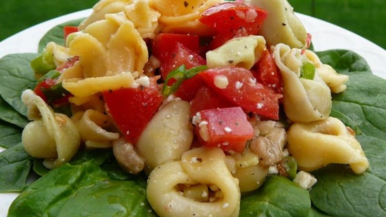 Tortellini Picnic Salad