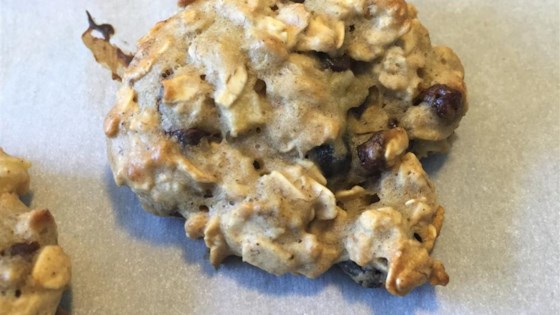 Low Fat Breakfast Cookies