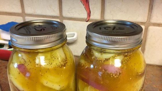 Lazy Housewife Pickles