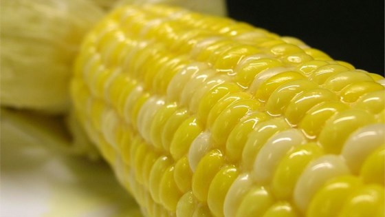 Juicy Grilled Corn On The Cob