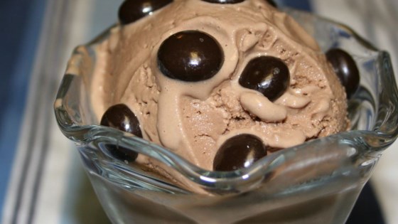 Chocolate-Hazelnut Soy Ice Cream