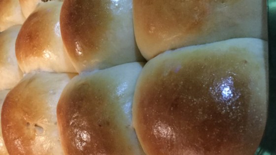 Soft Dinner Rolls