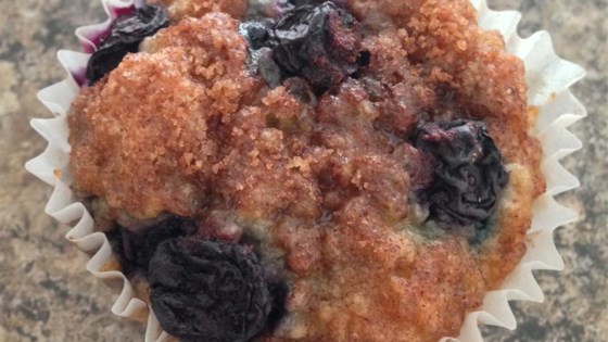 Blueberry Oatmeal Chia Seed Muffins