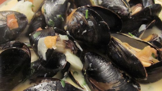 Steamed Mussels with Fennel, Tomatoes, Ouzo, and Cream