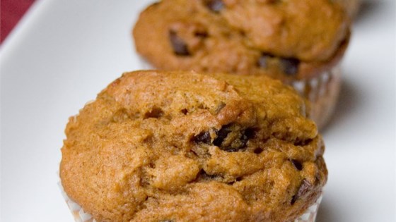 Pumpkin Chocolate Chip Muffins