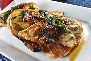 BBQ & Grilled Turkey Recipes